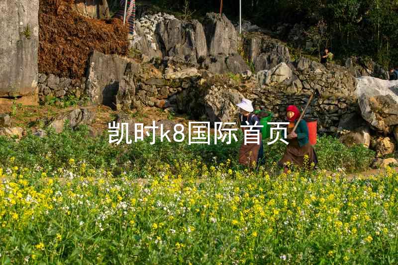 凯时k8国际首页